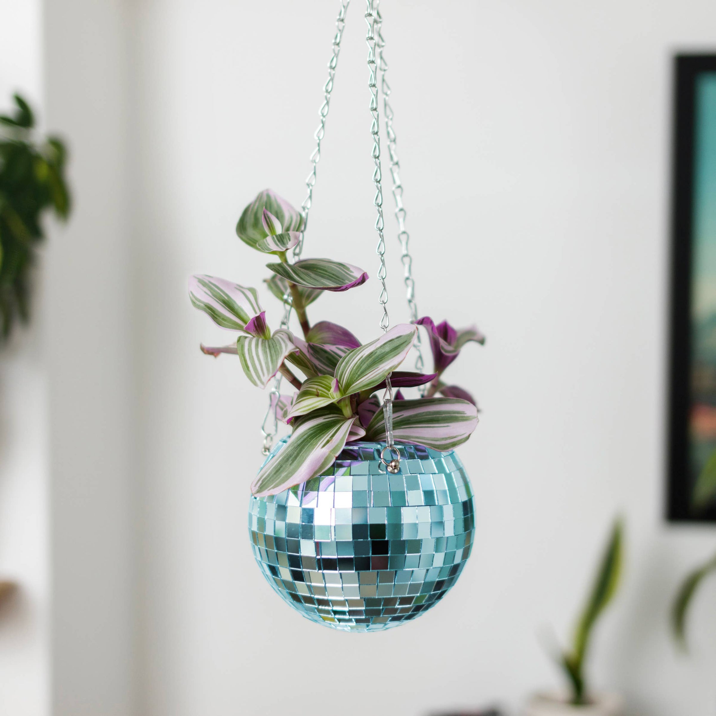 BAPE X NEIGHBORHOOD PLANT POT, Furniture & Home Living